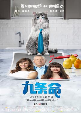 中文字幕一区二区视频