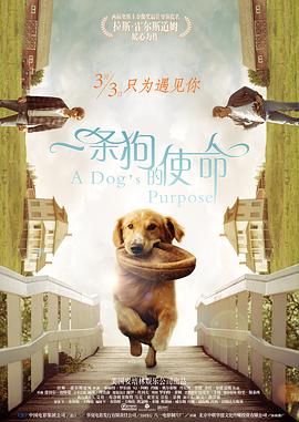 吞精av