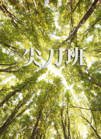 亚洲欧美日韩综合一区