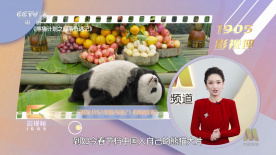 如何下载在线播放的视频